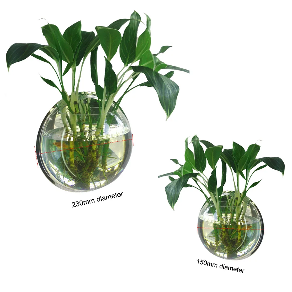 Домашнее украшение настенное крепление аквариумные резервуары чаша для золотой