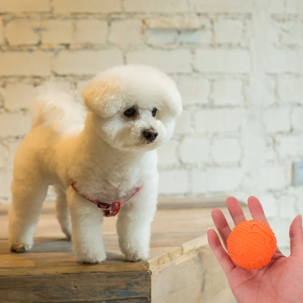 

2Pcs Dog Bite Chew Squeaky Funny for Pet Teeth Cleaning Grinding