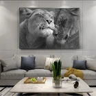 Холст с изображением Львов из головы к голове, настенные картины, художественные плакаты и принты, черные африканские львы, картины для дома