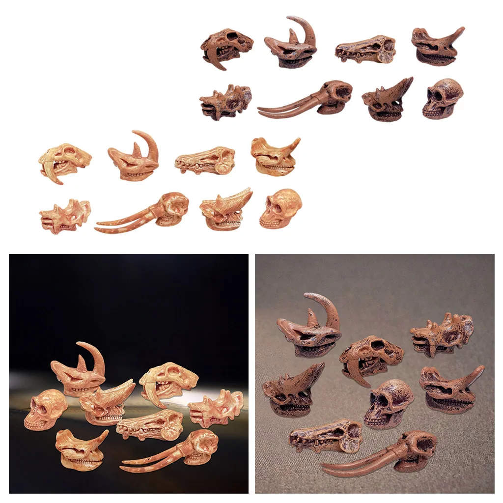 

Mini Prehistoric Mammal Skull Model Education Cognitive Toys Figurines Gift