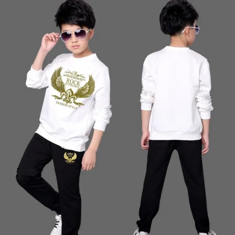 1 Children's wear Spring and Autumn New Boys'Sports Sanitary Wardrobe Two-piece Kids' Cartoon Kids'Suit in Korean Version |