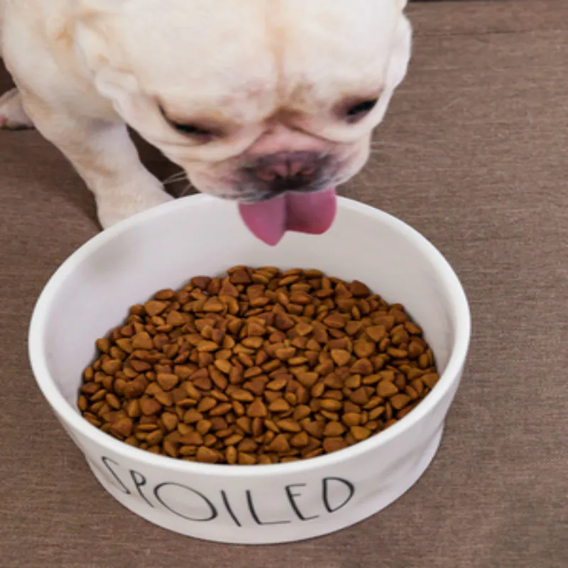 Товары для домашних животных милые миски с ручкой кормушка дозатор еды кошка