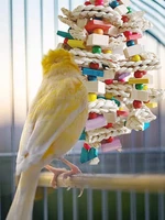 parrot chewing toy large bird parrot chewing toy multicolored natural wooden blocks bird parrot tearing toys bird cage bite toy