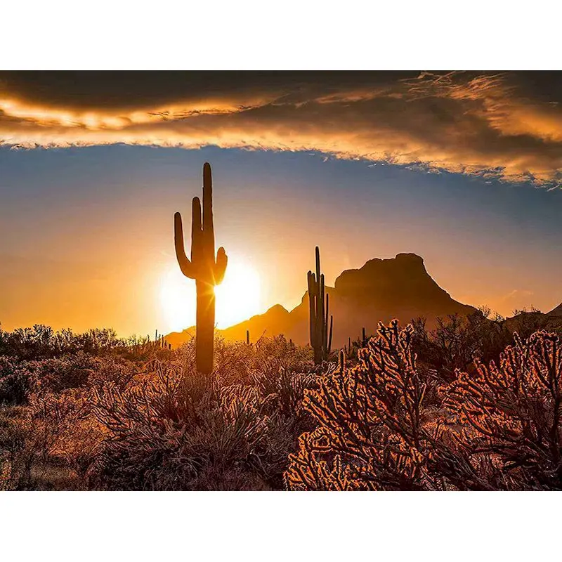 

CHENISTORY 5D DIY Diamond Painting Setting Sun Cross Stitch Kit Cactus Diamond Embroidery Sale Scenery Mosaic Cartoon Home Decor