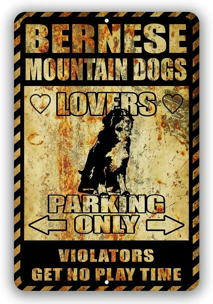

Bernese Mountain Dogs Lovers Parking Only Violators Get No Play Time Novelty Tin Sign Indoor and Outdoor use 8"x12" or 12"x18"