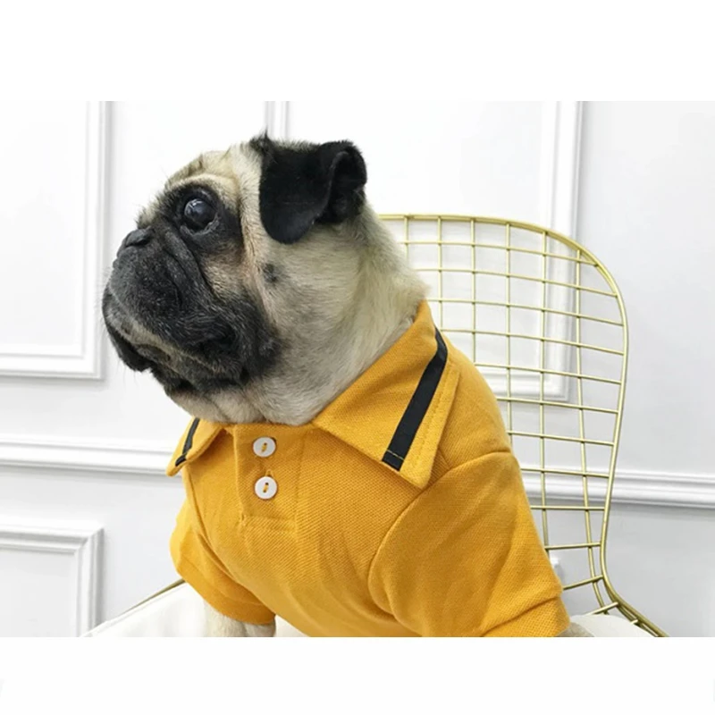 Модная летняя футболка поло с французским бульдогом жилет пальто одежда для