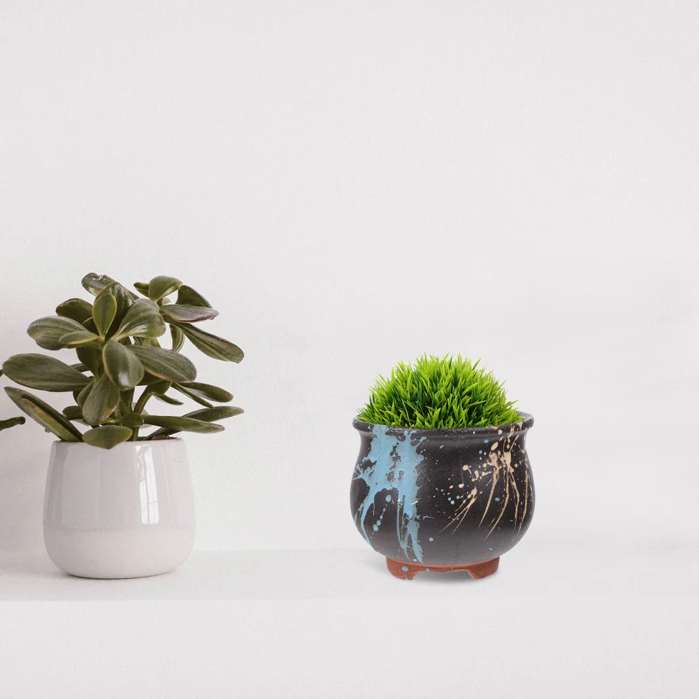 

1pc Fleshy Plant Flowerpot Ceramic Succulents Pot Flowerpot Decor Bonsai Pot