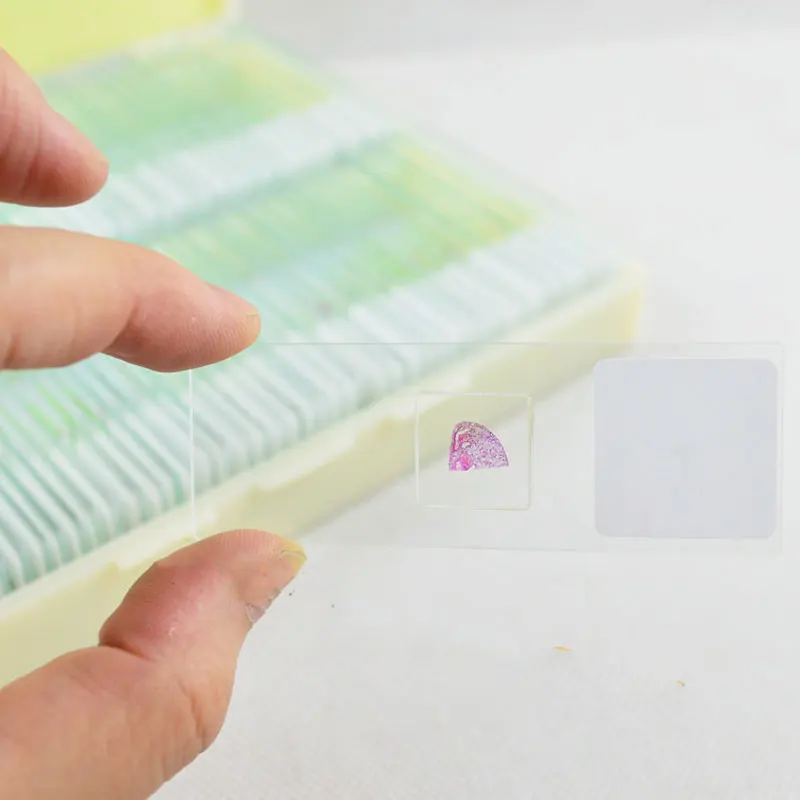 Биологические 100 шт подготовленные стеклянные слайды микроскопа