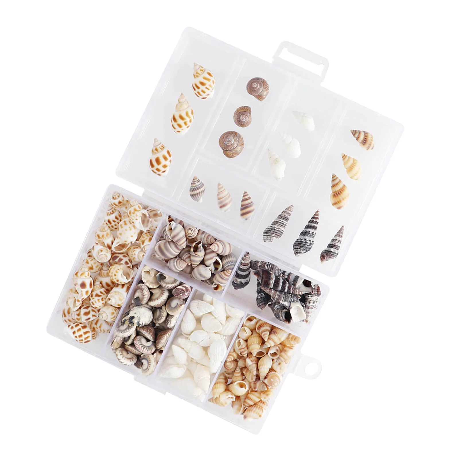 

100g Sea Shells Beads Wedding Beach Confetti Decorative Shells DIY Crafting