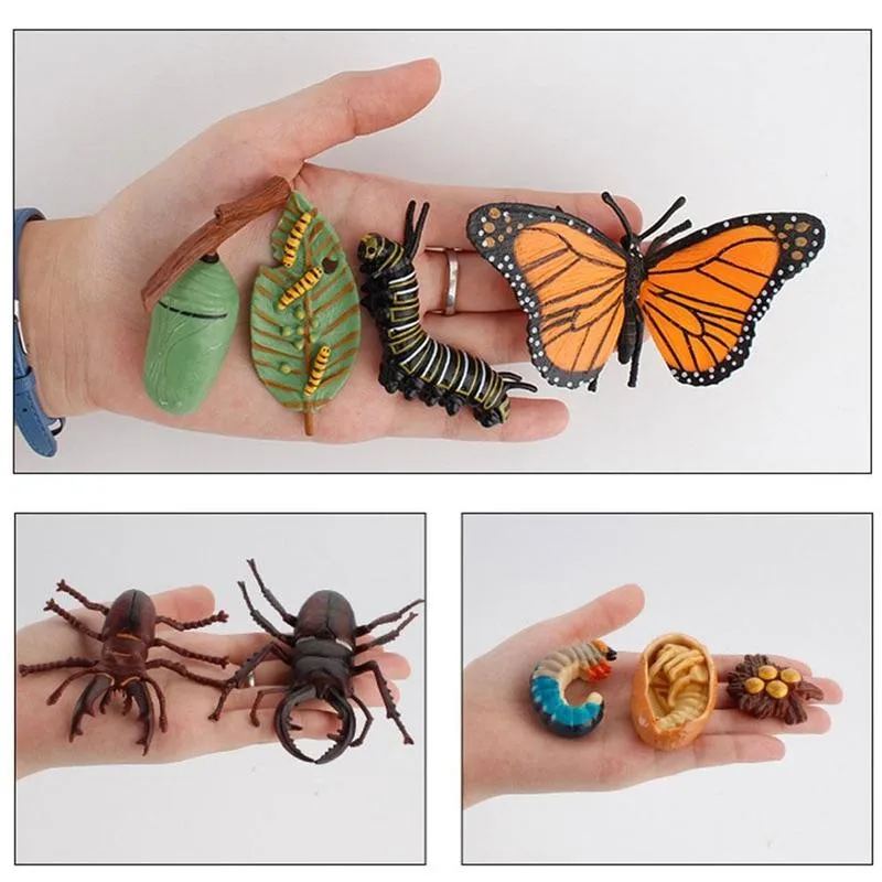 

Моделирование цикла роста пчелы, 4 шт., миниатюрные обучающие игрушки для детей, подарок на день рождения, животные, орнамент