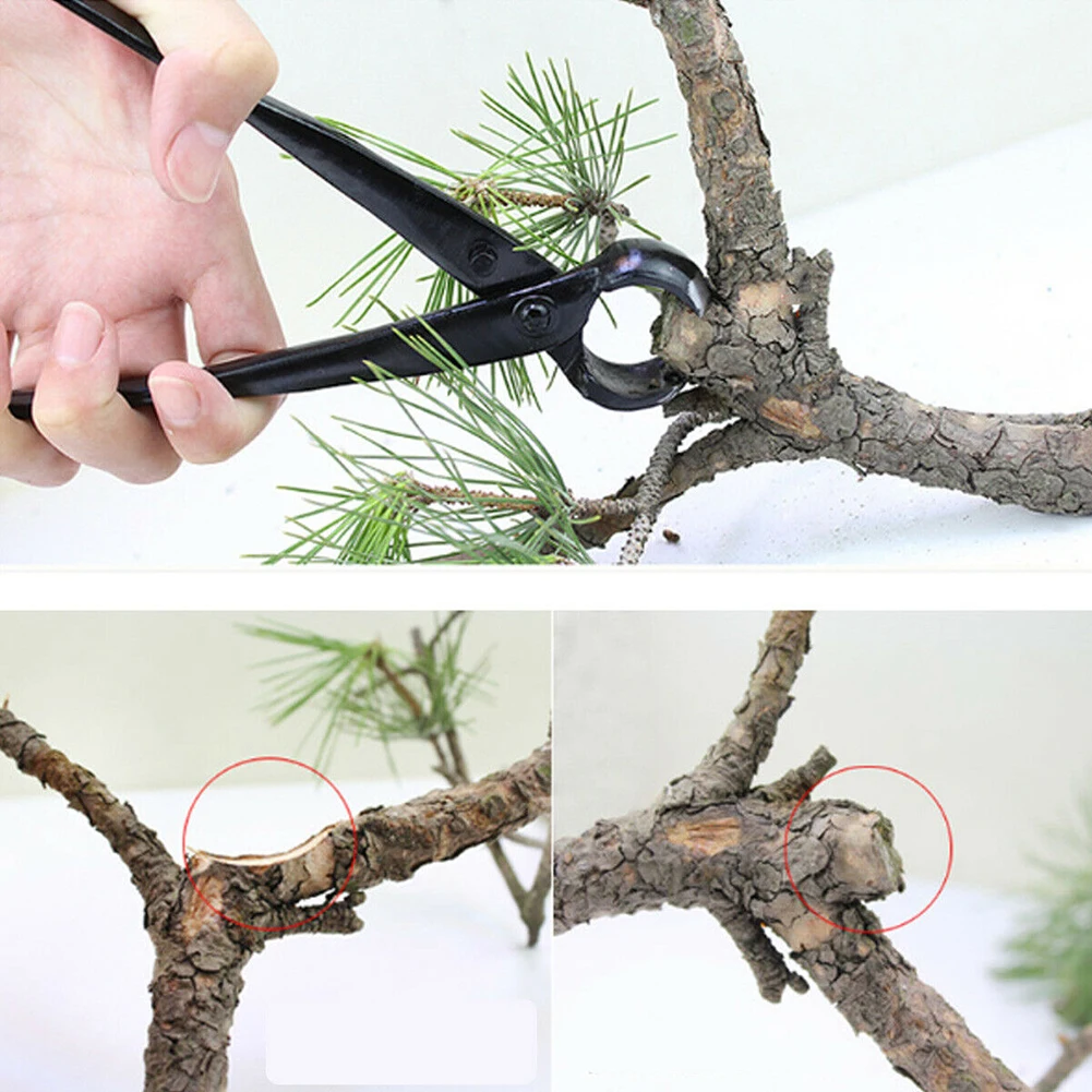 

Branch Cutter Professional Bonsai Tools Heavy Duty Concave Cutter Knob Cutter Plants Pruner, 8.27in