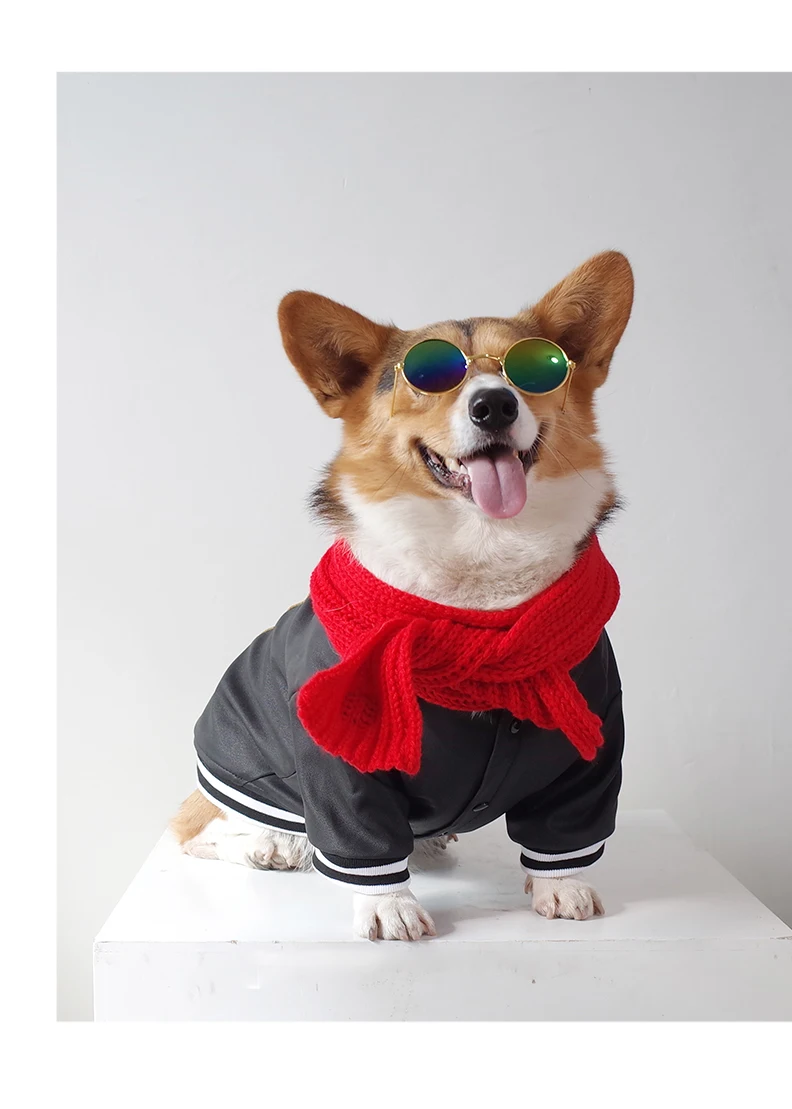 Большая одежда для собак Хаски Зимняя чихуахуа водонепроницаемая Одежда