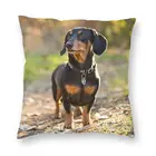 Чехол для подушки с таксой 40 х 40 домашний декор 3D с принтом барсука; Колбаса в Винер собака подушка для автомобиля двойная сторона