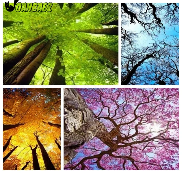 

Diamond Painting Four Seasons Landscape Embroidery Trees Mosaic Abstract Sticker Diamond Cross Stitch Children's Handmade Gift