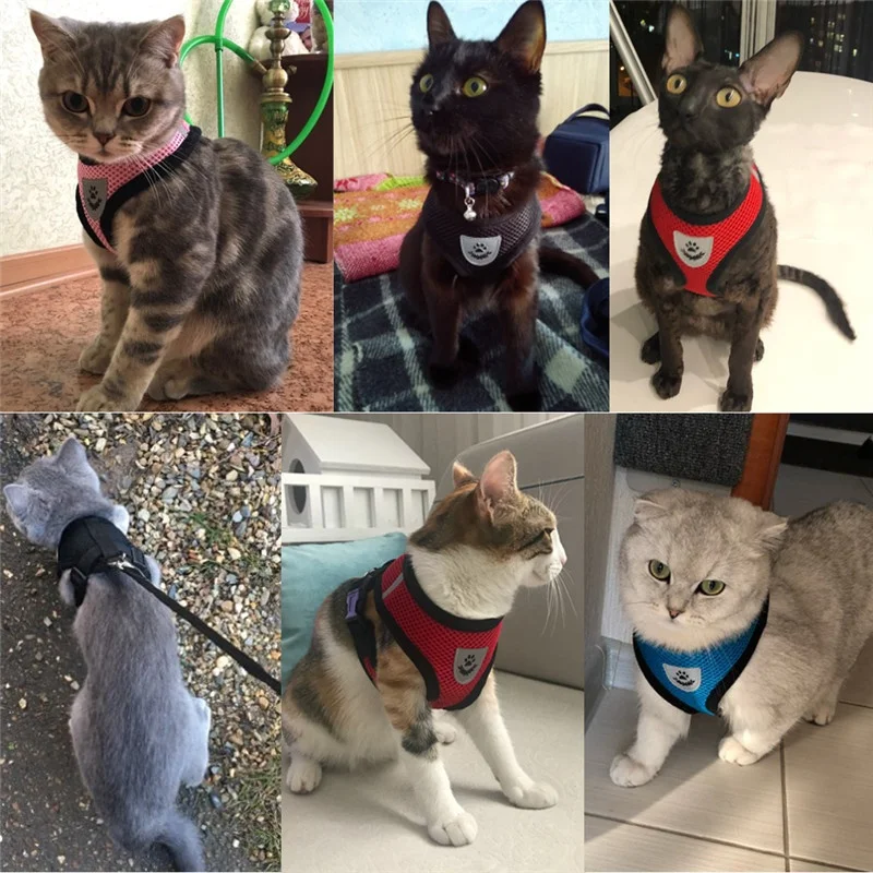 

6 Colors Pet Harness and Leash Set Cat Dog Walking Mesh Breathable Adjustable Vest for Kitten Puppy Chest Strap Pet Supplies