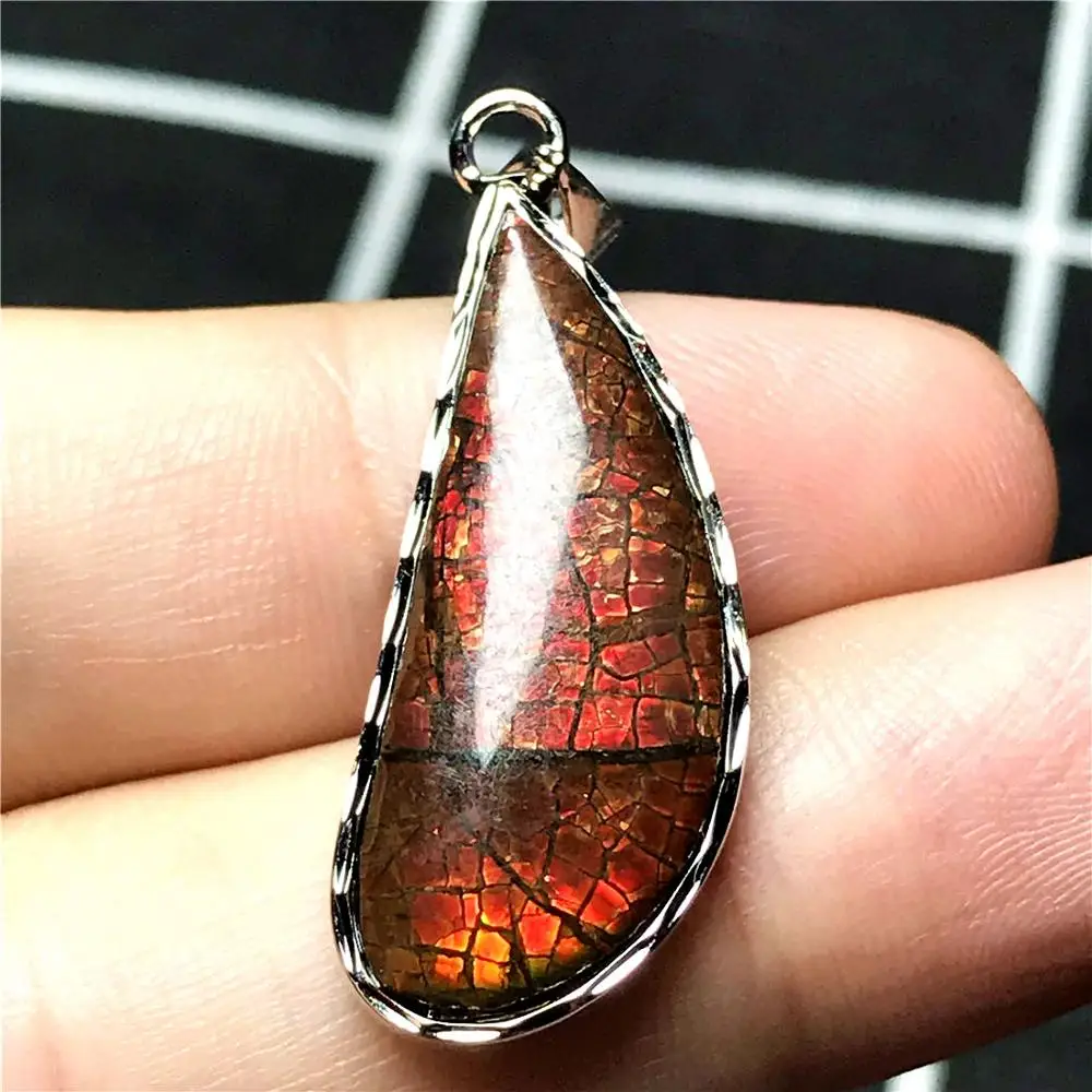 Натуральный Красный аммонит аммолит ожерелье кулон для Женщины Мужчины 28x12x4 мм