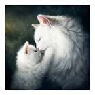 Белая кошка, для мамы и ребенка, алмазная картина, Полный Круглый котенок, мультфильм, новинка, сделай сам, наклеивающаяся дрель, вышивка крестом 5D