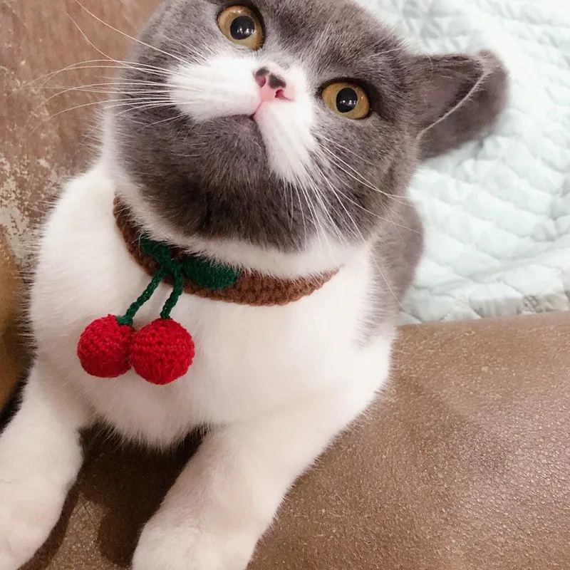 Модный шерстяной шейный платок для собаки милый домашний питомец собака кошка