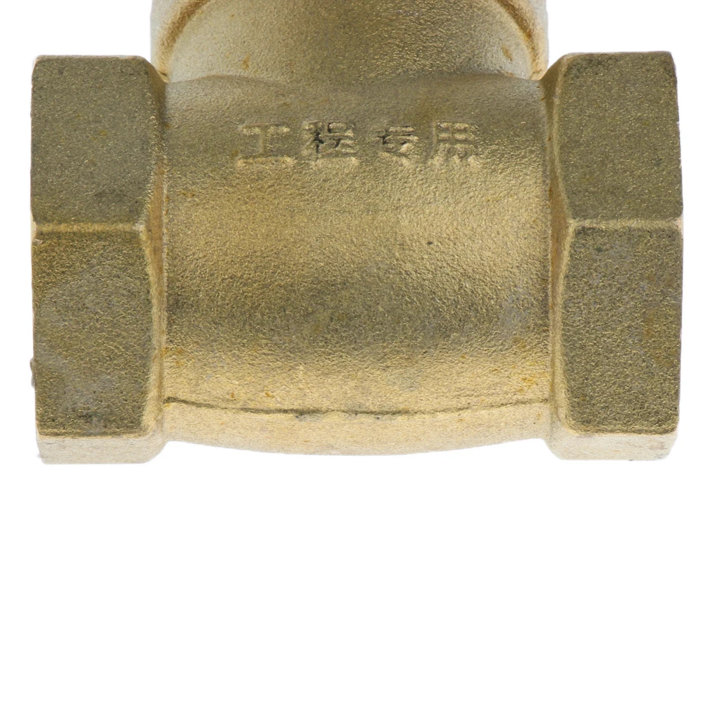 

Blesiya Non-return Swing Check DN25 (1") Female Thread One Way Check Valve