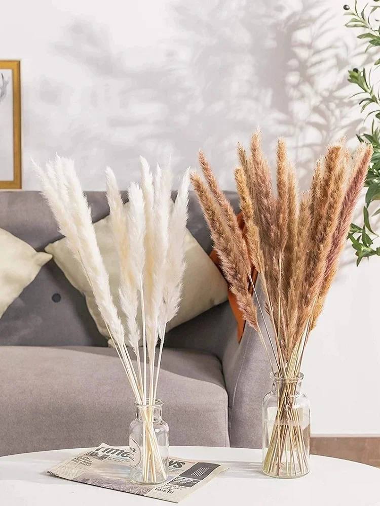 

15 Pcs Natural Dried Small Reed Pampas Grass Phragmites Flower Bunch for Wedding Party Office Garden Living Room Decoration