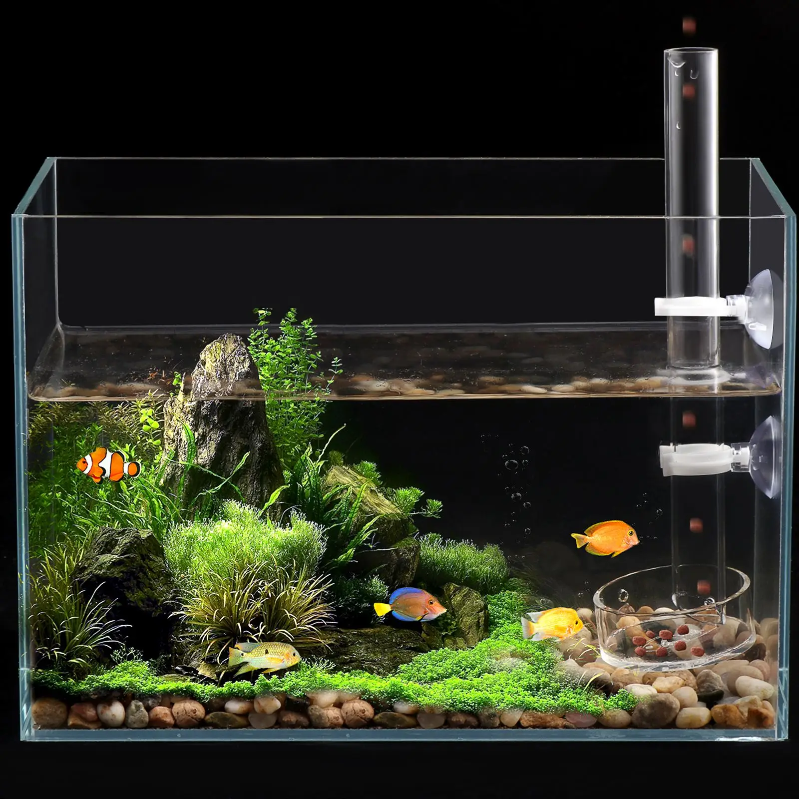 1pc Fish Shrimp Feeder Tube and Plate Acrylic Clear Feeding Aquarium Tank for Crystal | Дом и сад