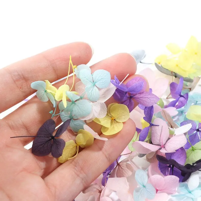 

DIY Nail Art Filler Popular Dry Eternal Flowers Beauty Nails Large Applique Decorative Jewelry Crafts Making Epoxy Filling