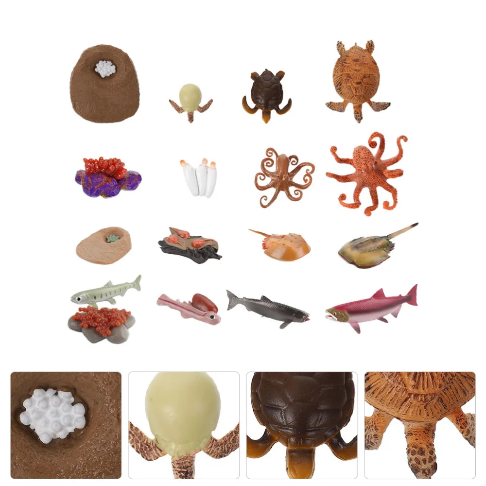

4 Sets Horseshoe Crab Salmon Octopus and Sea Turtle Life Cycle Models Kids Toys