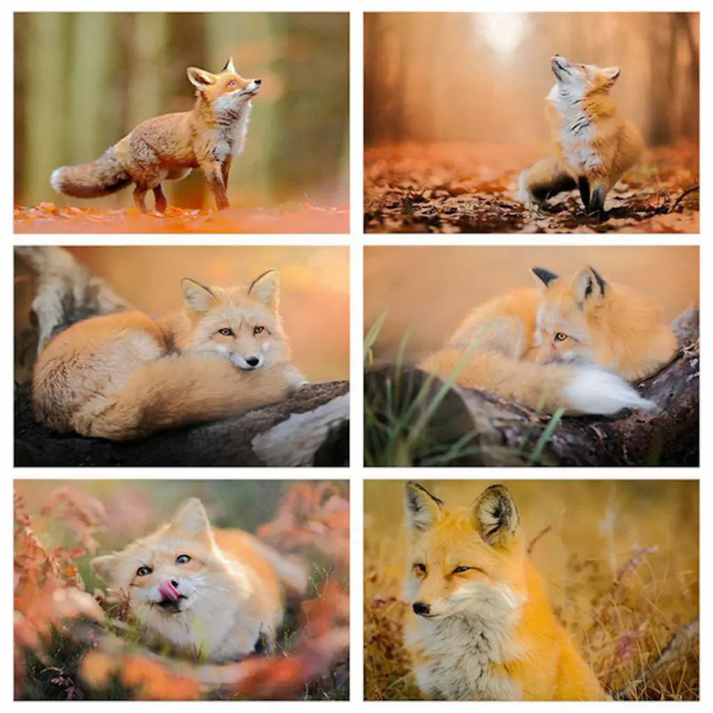 

NEW Home 5D DIY Diamond Painting Square Diamond Cross Sticker Crafts Fine Art Sewing "Animal Beautiful Fox" Room Decoration Gift