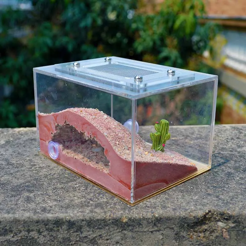 DIY Мини имитация экологической штукатурки гнездо ПЭТ муравей ферма мастерская