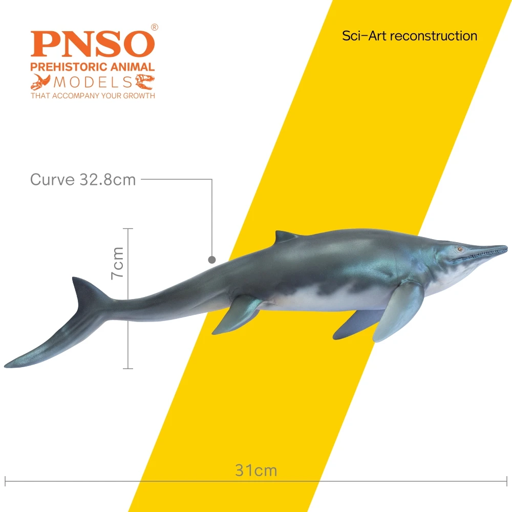 PNSO-modelos de dinosaurios prereligiosos, modelo: 55Tucson, El Himalayasaurus-1