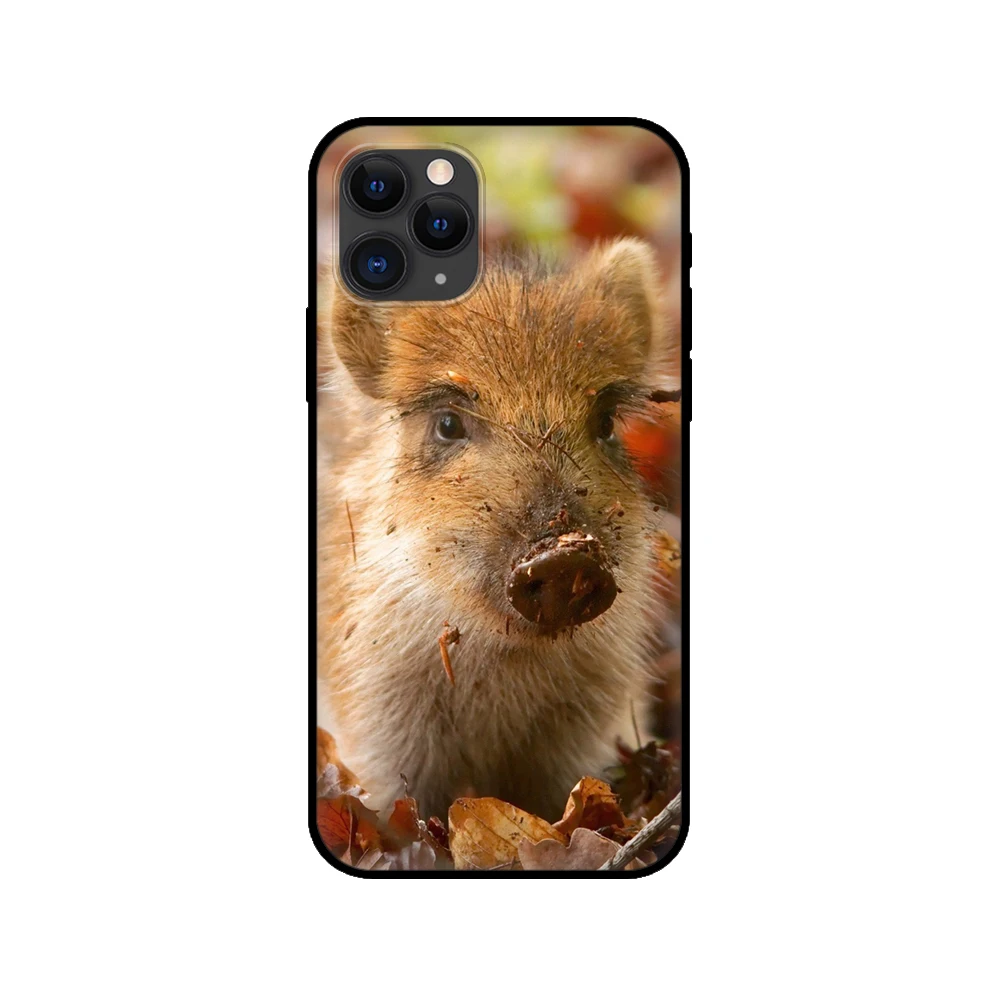 black tpu case for iphone 5 5s se 2020 6 6s 7 8 plus x 10 xr xs 11 12 mini pro max back cover wild boar free global shipping