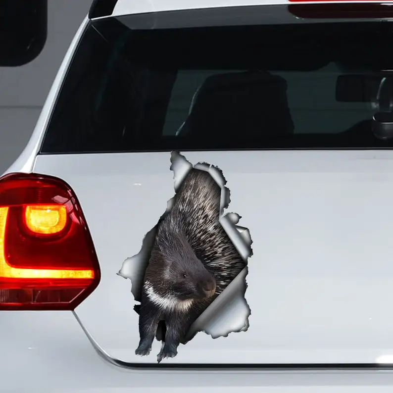 

Porcupine car decal , crested porcupine magnet,porcupine sticker