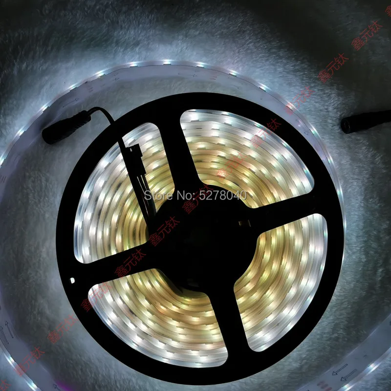 저렴한 12V Led 스트립 RGB 144led 5 미터 매직 랜턴 기사 케이싱, 단색 멀티 컬러 풀 컬러 변색 그라데이션