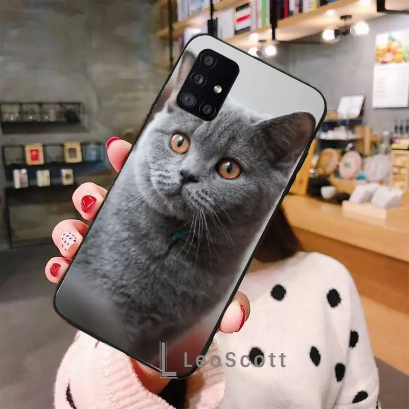 

British shorthair cat Phone Case For Samsung A40 A50 A51 A71 A20E A20S S8 S9 S10 S20 Plus note 20 ultra 4G 5G