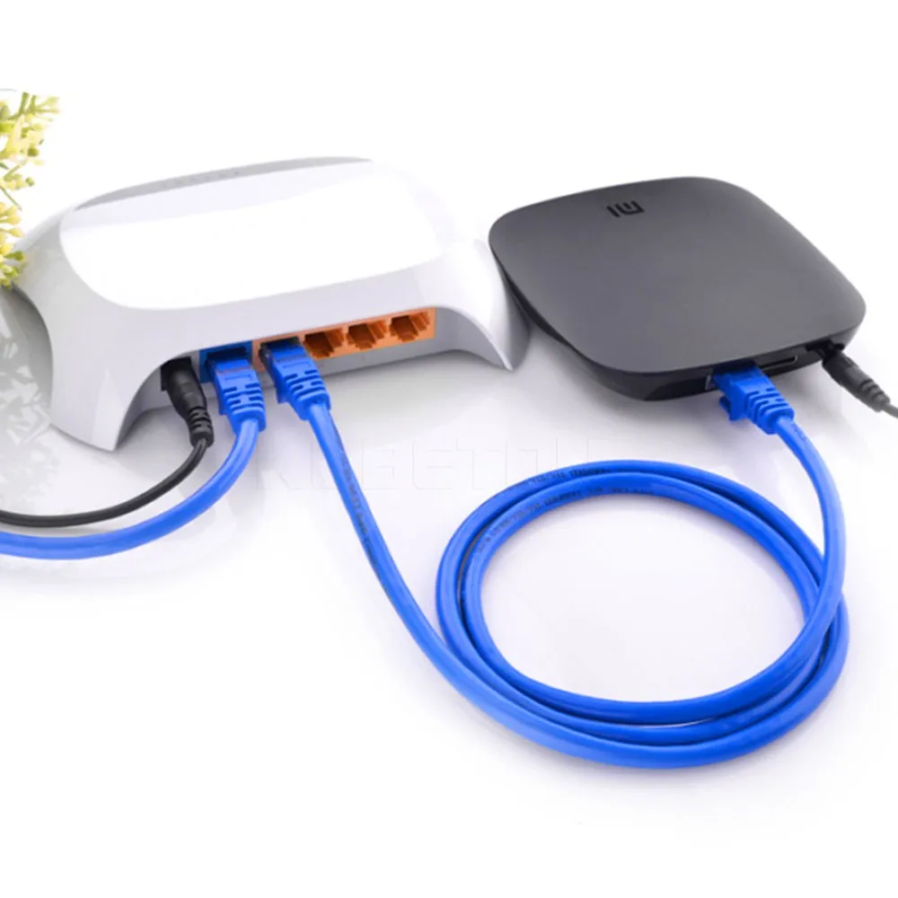 CAT5 Ethernet Интернет Соединительный сетевой кабель подключен к ноутбуку |