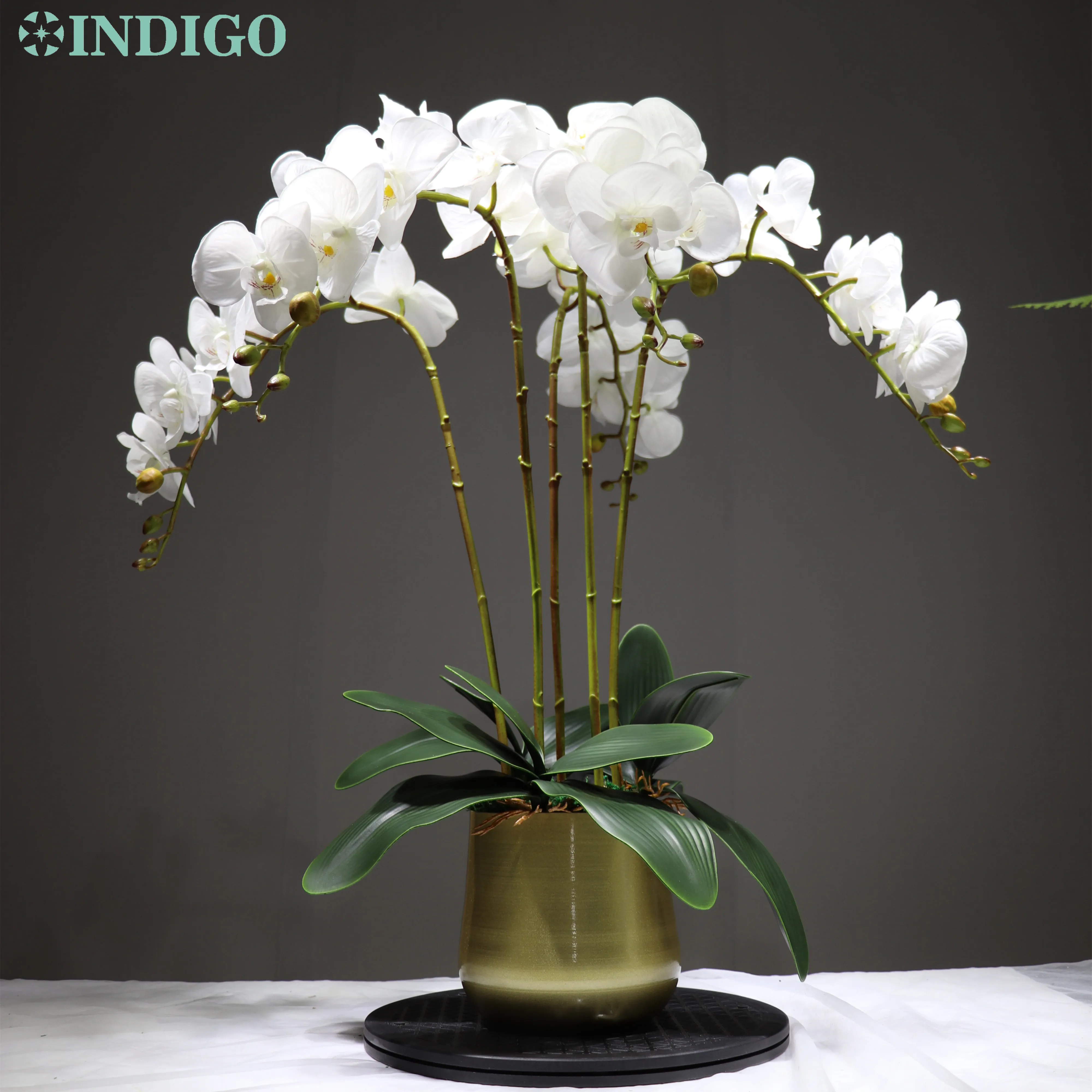 Индиго фаленопсис Орхидея настоящий сенсорный цветок белый искусственный