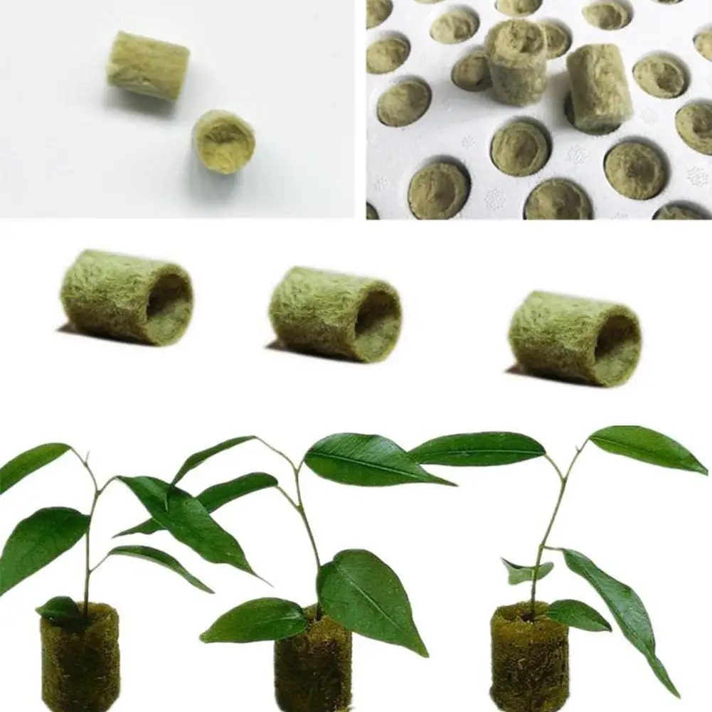 50 шт grow plug a pack Grodan " Starter Cubes plugs-hydroponic rockwool grow media. Распространение клонирования из минеральной ваты кубики
