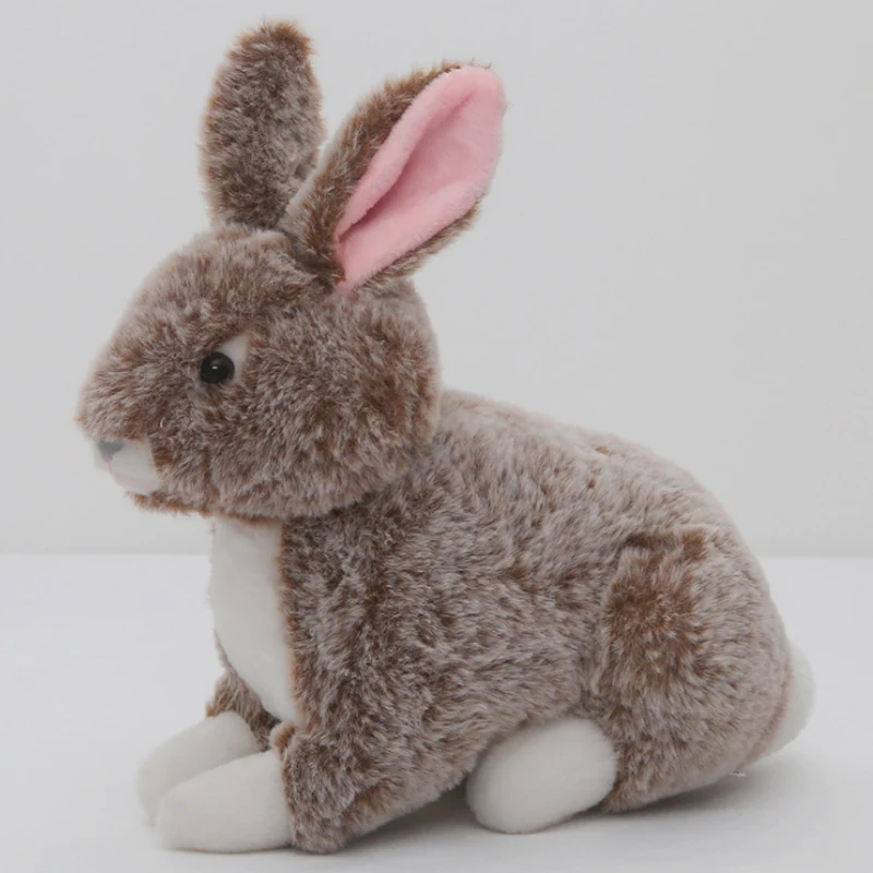 

Stuffed Animals & Plush