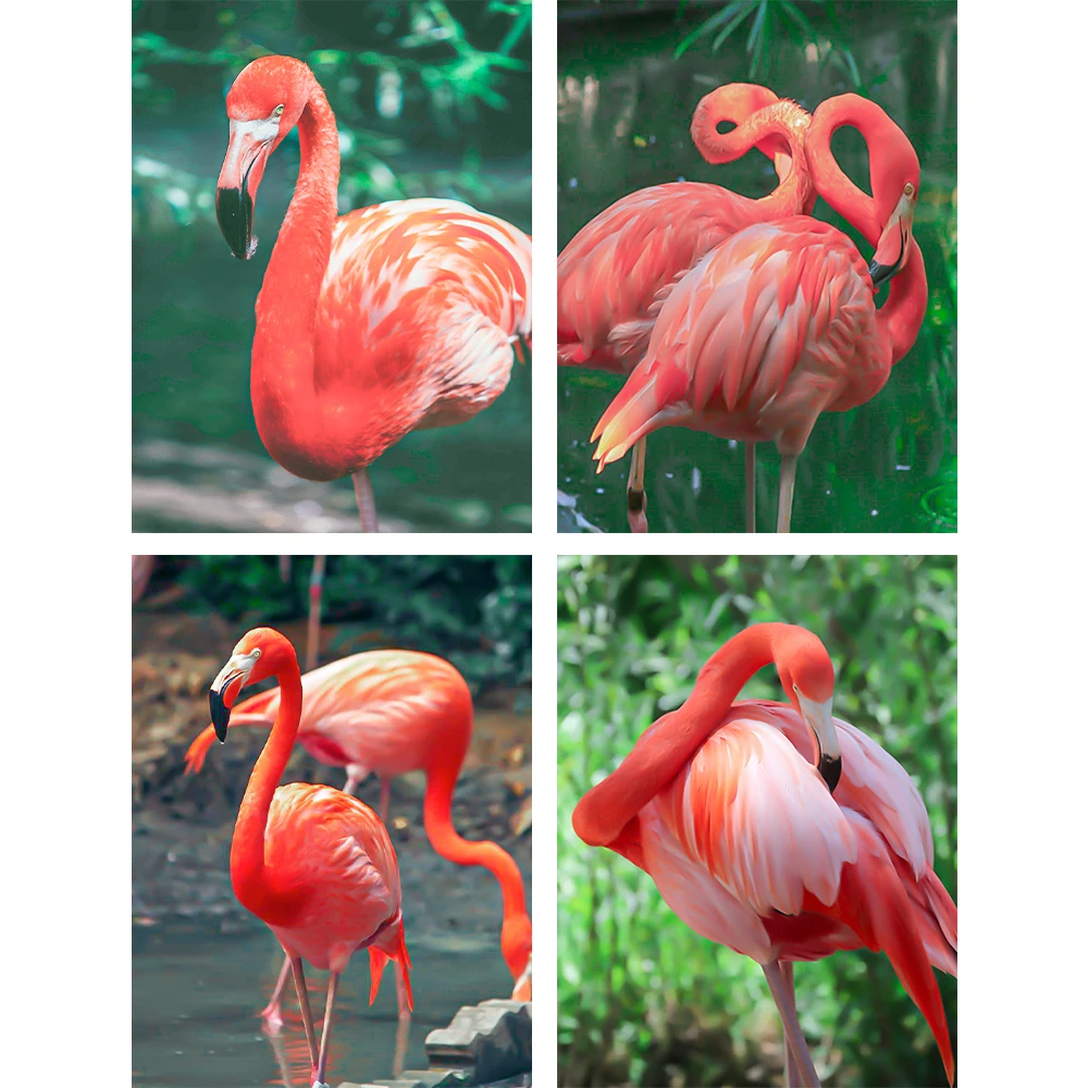 RAILONCH 5D DIY алмазная живопись Фламинго полная круглая Алмазная вышивка Животные