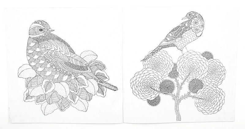 Книжка раскраска для детей и взрослых 1 шт. 24 страницы животный английский стиль