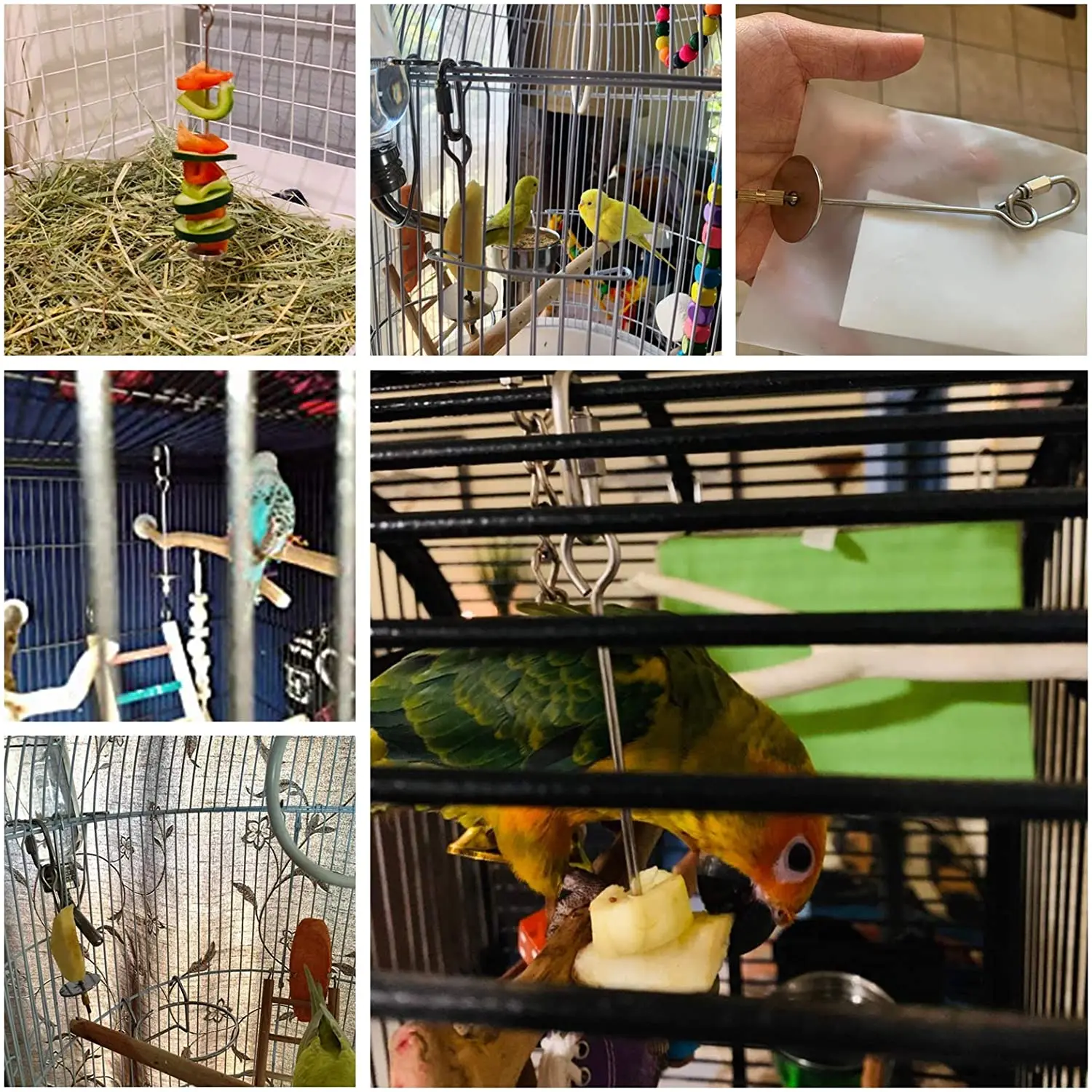 

2Pcs Bird Food Holder Bird Feeders Stainless Steel Parrot Fruit Vegetable Stick Holder Foraging Toy Bird Treat Skewer for Budgie
