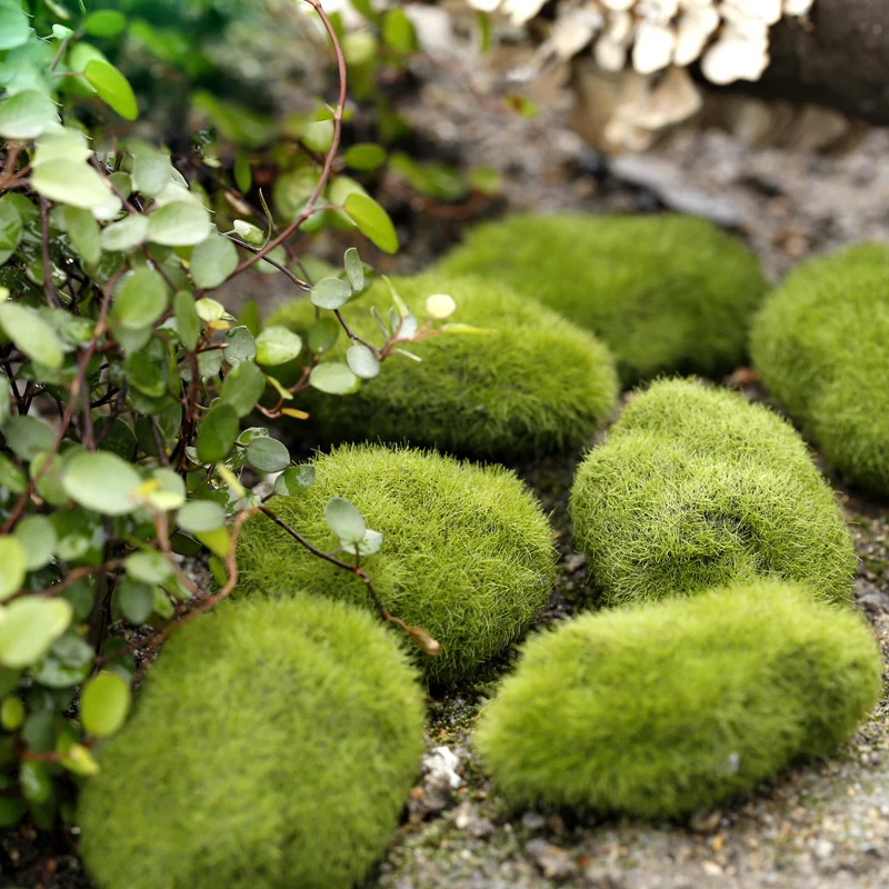 

1pcs artificial fake stone Green Foam Moss Micro Landscap Grass Plant Pet Toy Home Garden Decoration supplies