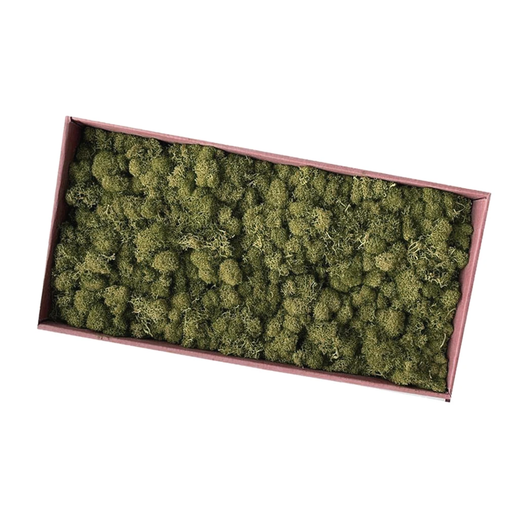 Натуральный Норский олень мох сохраняемый сушеный цветок для цветов трава