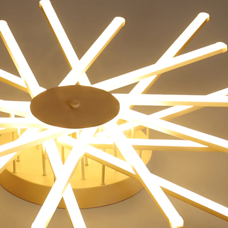 

New remote control Acrylic modern chandelier Indoor home decoration Fashion LED chandelier