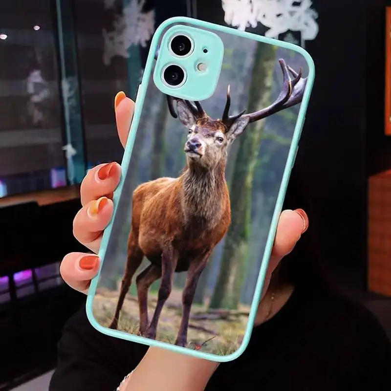 

whitetail deer hunting deer Phone Case For iPhone 12 11 Mini Pro XR XS Max 7 8 Plus X Matte transparent blue Back Cover