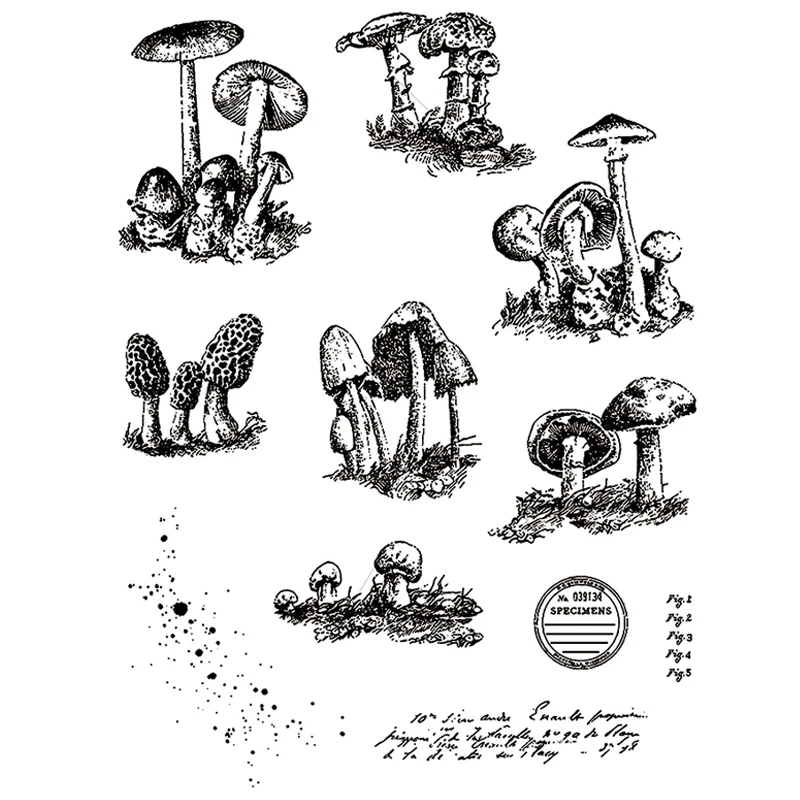 Английский поздравительный лист с узором в виде грибов новинка 2021 прозрачные