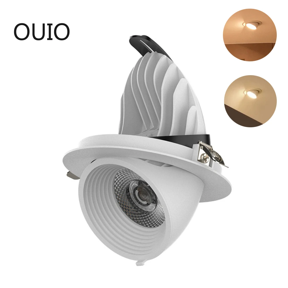 

Elephant Trunk Light LED Spotlight 10W/20W/30W/40W AC85~265V For Home/Commeicial Lighting Embedded Ceiling Light COB Downlight