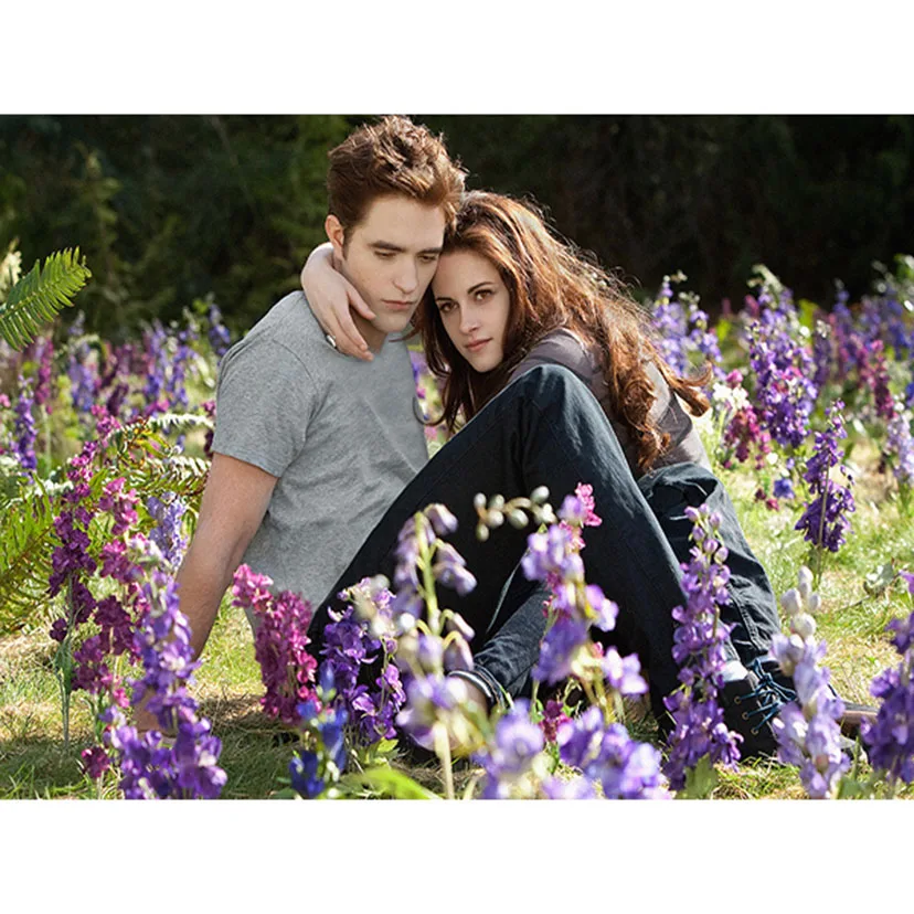 

Movie Twilight DIY 5D Diamond Painting Cross Stitch Full Square Round Drill Embroidery Mosaic Picture Home Decor Gift SS1205
