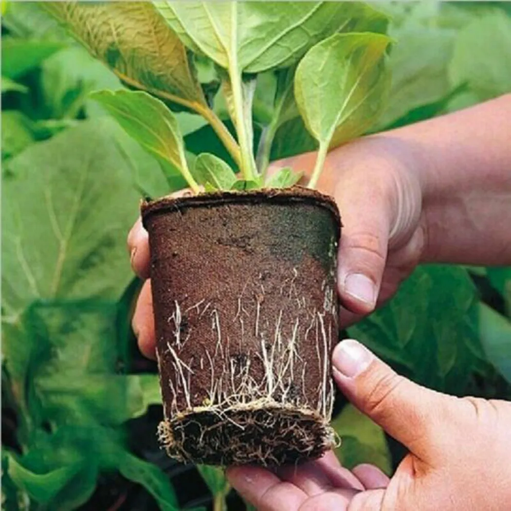

Balcony Nursery Cup Biodegradable Eco-friendly Garden Greening Project
