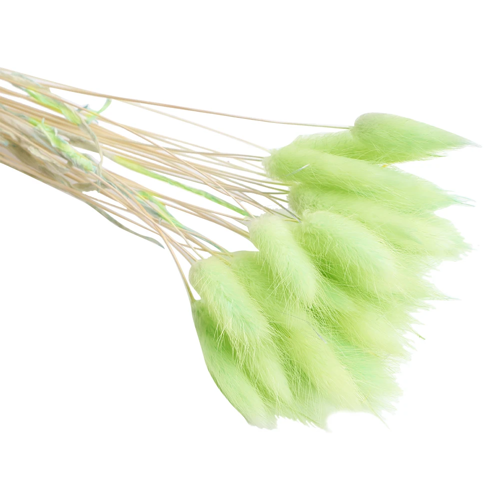 30pcs Rabbit Tail Grass Bouquet Eco Friendly Wedding Dried Flower Florist Photo Props Lagurus Ovatus Natural Gift Home Decor